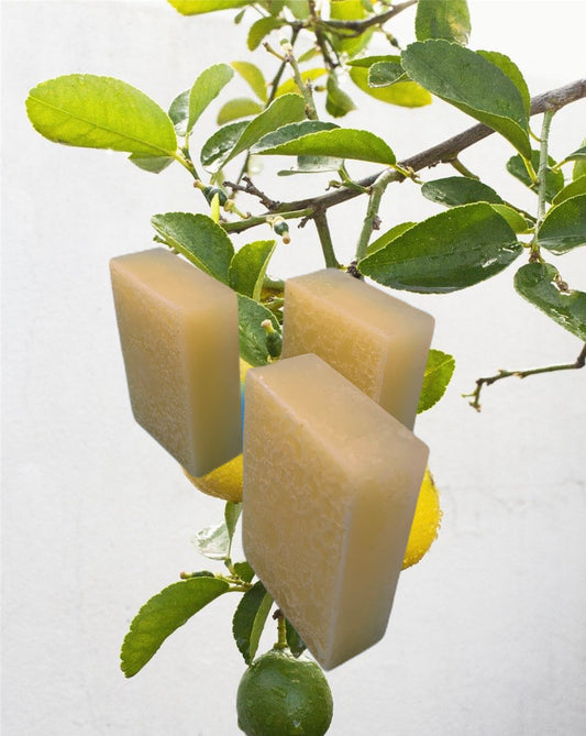 Intense Lemon Face & Body soap